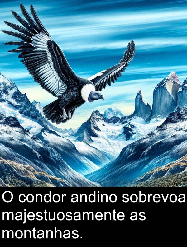 montanhas: O condor andino sobrevoa majestuosamente as montanhas.