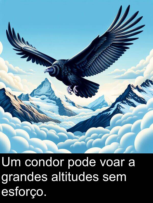 sem: Um condor pode voar a grandes altitudes sem esforço.