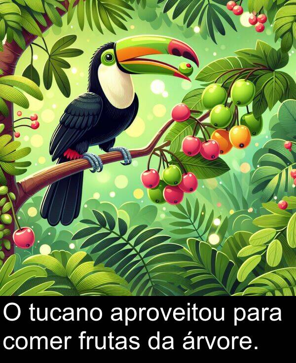 árvore: O tucano aproveitou para comer frutas da árvore.