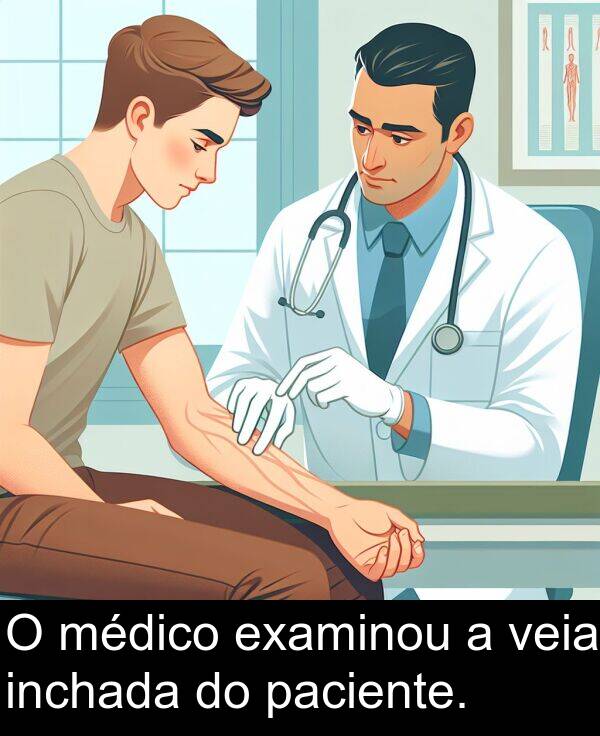 veia: O médico examinou a veia inchada do paciente.