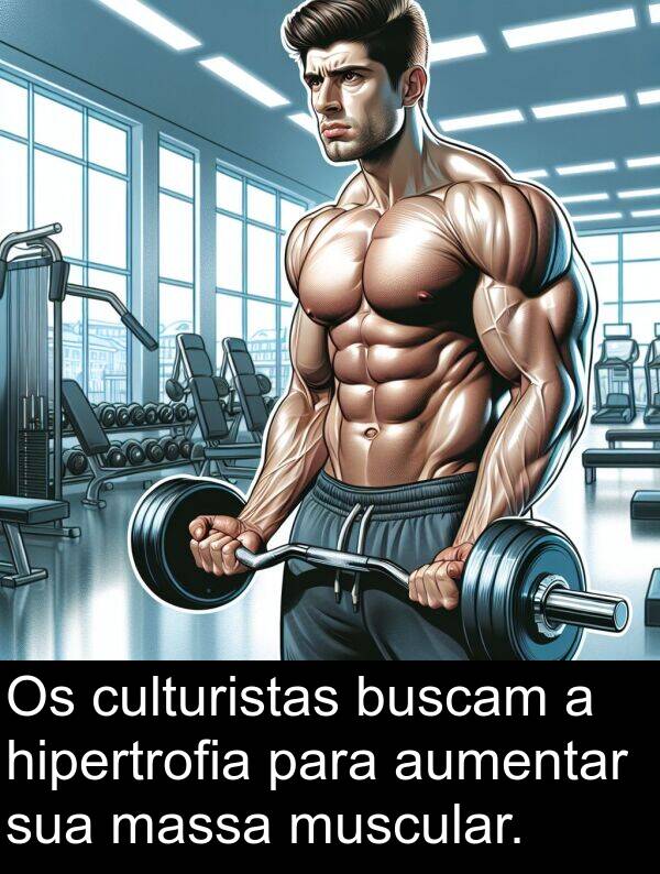 massa: Os culturistas buscam a hipertrofia para aumentar sua massa muscular.