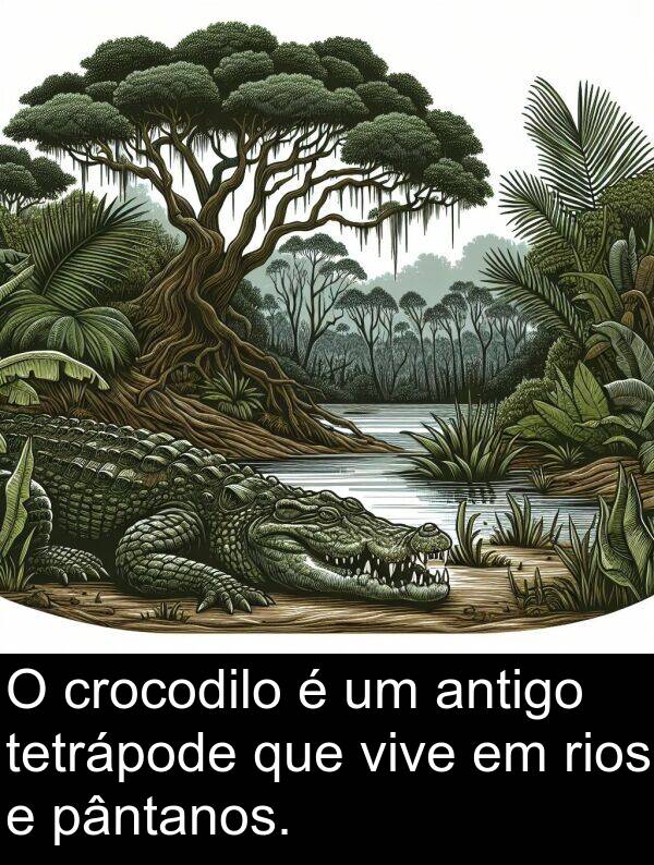 pântanos: O crocodilo é um antigo tetrápode que vive em rios e pântanos.