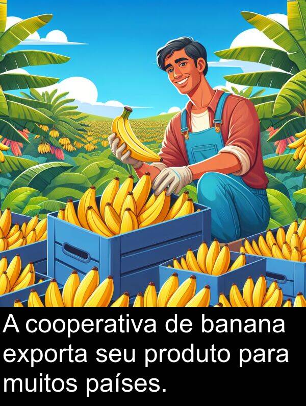 banana: A cooperativa de banana exporta seu produto para muitos países.