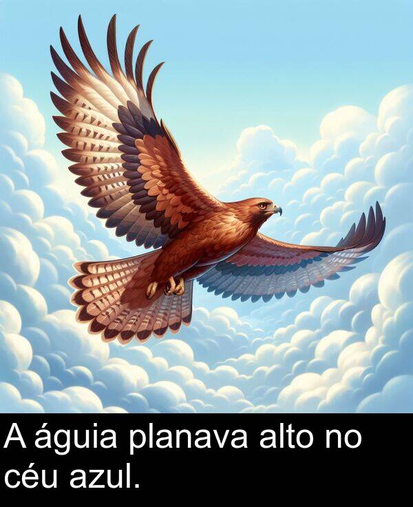 águia: A águia planava alto no céu azul.