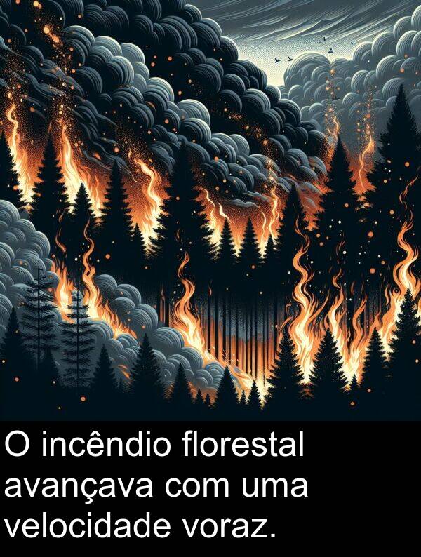 velocidade: O incêndio florestal avançava com uma velocidade voraz.