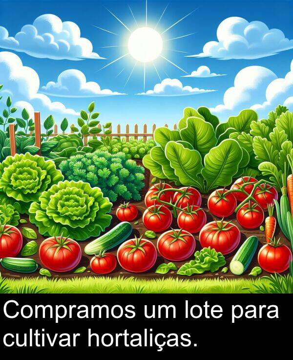 lote: Compramos um lote para cultivar hortaliças.