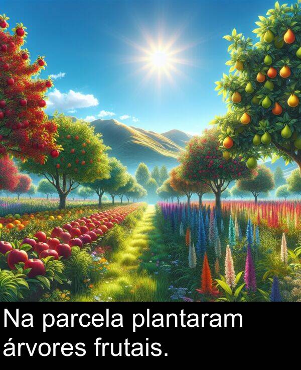 parcela: Na parcela plantaram árvores frutais.