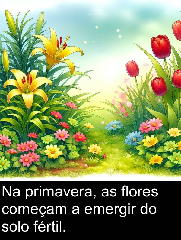 fértil: Na primavera, as flores começam a emergir do solo fértil.