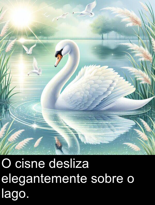 lago: O cisne desliza elegantemente sobre o lago.