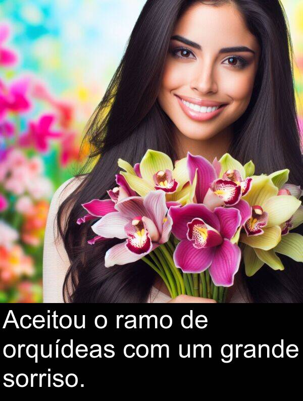 ramo: Aceitou o ramo de orquídeas com um grande sorriso.