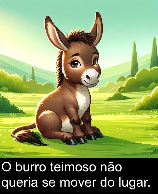 não: O burro teimoso não queria se mover do lugar.