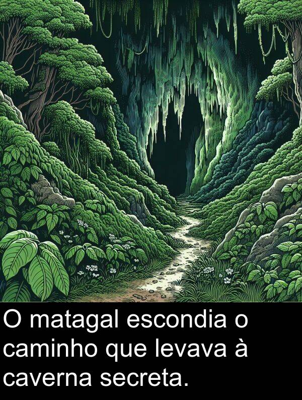 matagal: O matagal escondia o caminho que levava à caverna secreta.