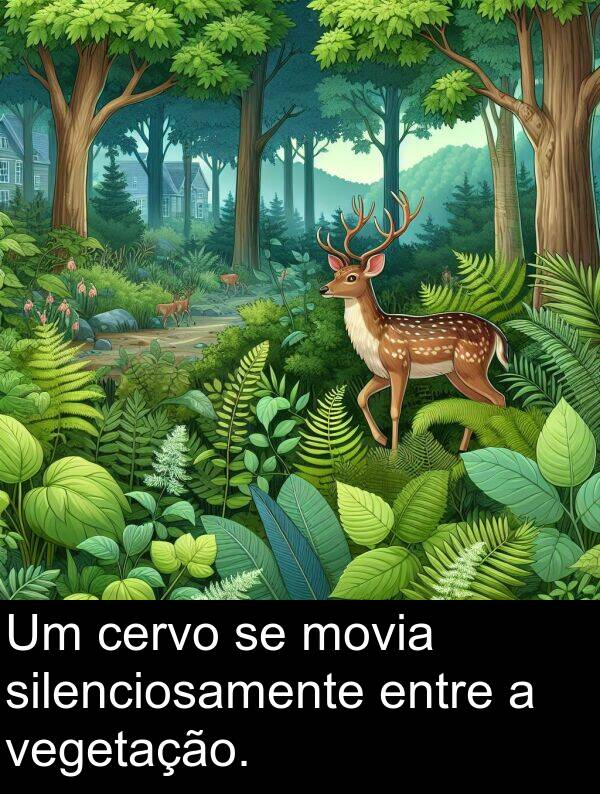 vegetação: Um cervo se movia silenciosamente entre a vegetação.