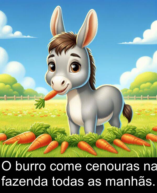 manhãs: O burro come cenouras na fazenda todas as manhãs.