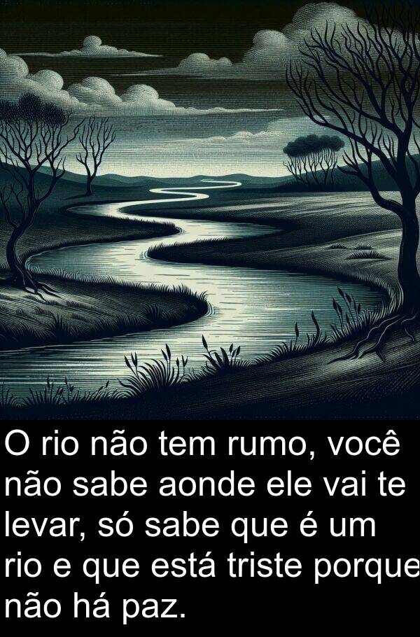 vai: O rio não tem rumo, você não sabe aonde ele vai te levar, só sabe que é um rio e que está triste porque não há paz.