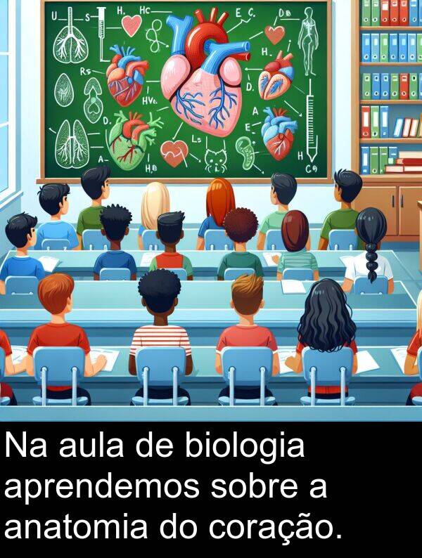 biologia: Na aula de biologia aprendemos sobre a anatomia do coração.