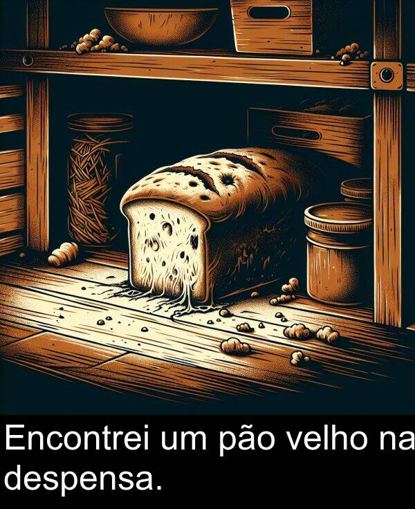 velho: Encontrei um pão velho na despensa.