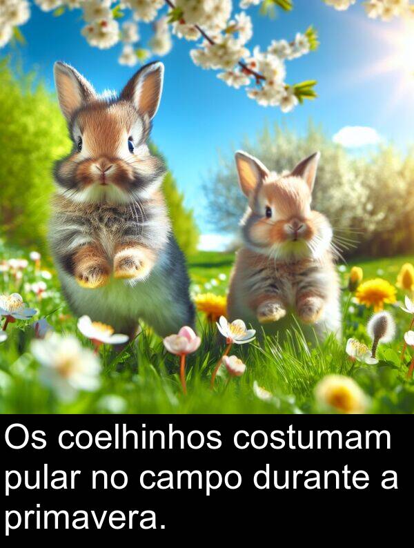 campo: Os coelhinhos costumam pular no campo durante a primavera.