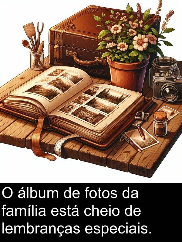 lembranças: O álbum de fotos da família está cheio de lembranças especiais.