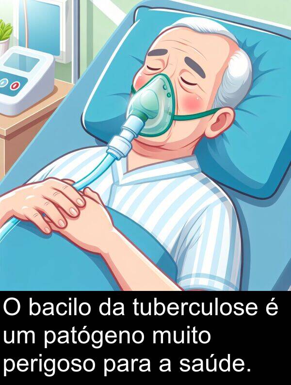 saúde: O bacilo da tuberculose é um patógeno muito perigoso para a saúde.