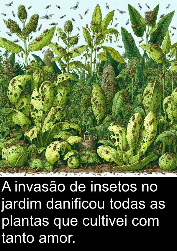 tanto: A invasão de insetos no jardim danificou todas as plantas que cultivei com tanto amor.