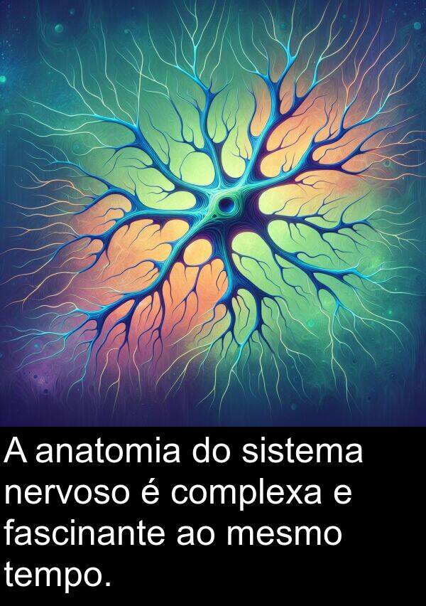 nervoso: A anatomia do sistema nervoso é complexa e fascinante ao mesmo tempo.