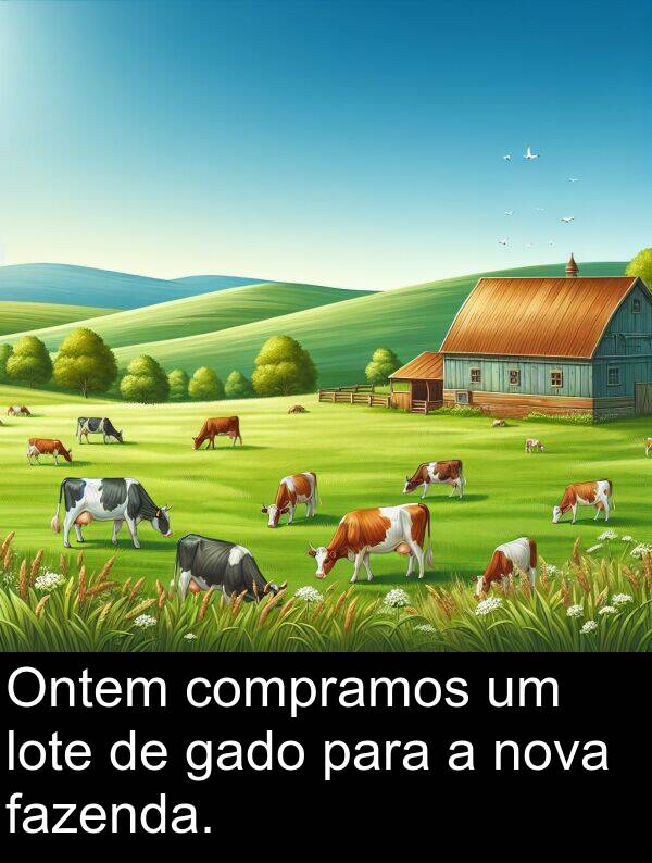 gado: Ontem compramos um lote de gado para a nova fazenda.