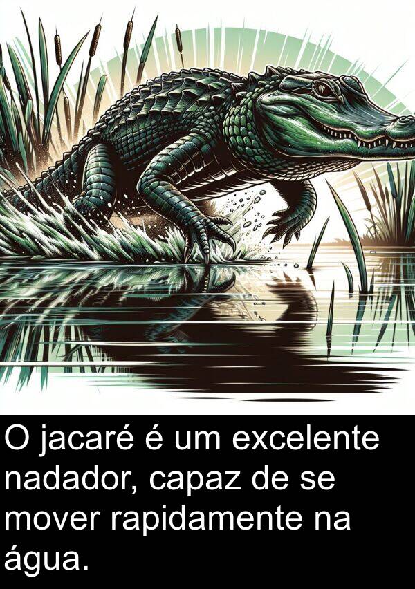 nadador: O jacaré é um excelente nadador, capaz de se mover rapidamente na água.