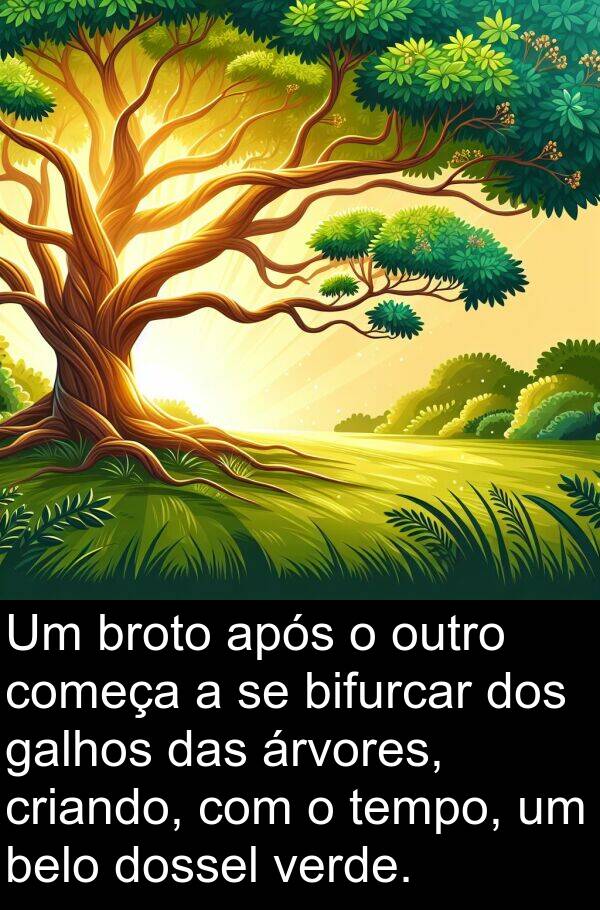 verde: Um broto após o outro começa a se bifurcar dos galhos das árvores, criando, com o tempo, um belo dossel verde.