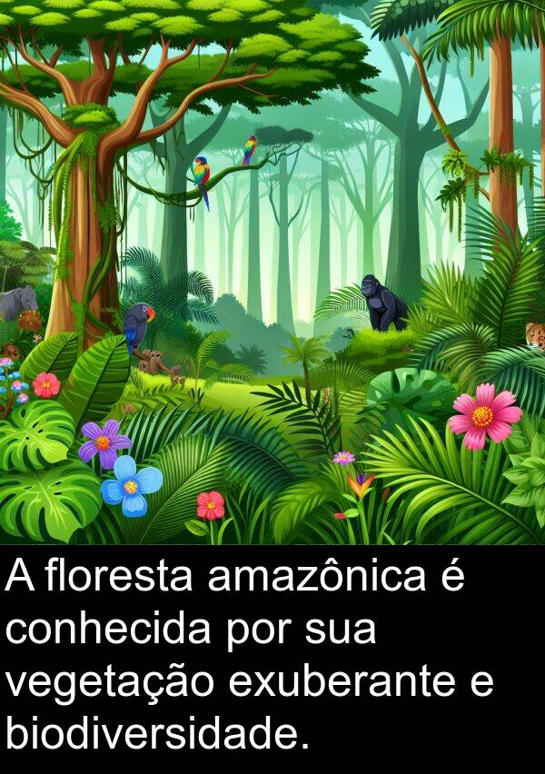 vegetação: A floresta amazônica é conhecida por sua vegetação exuberante e biodiversidade.