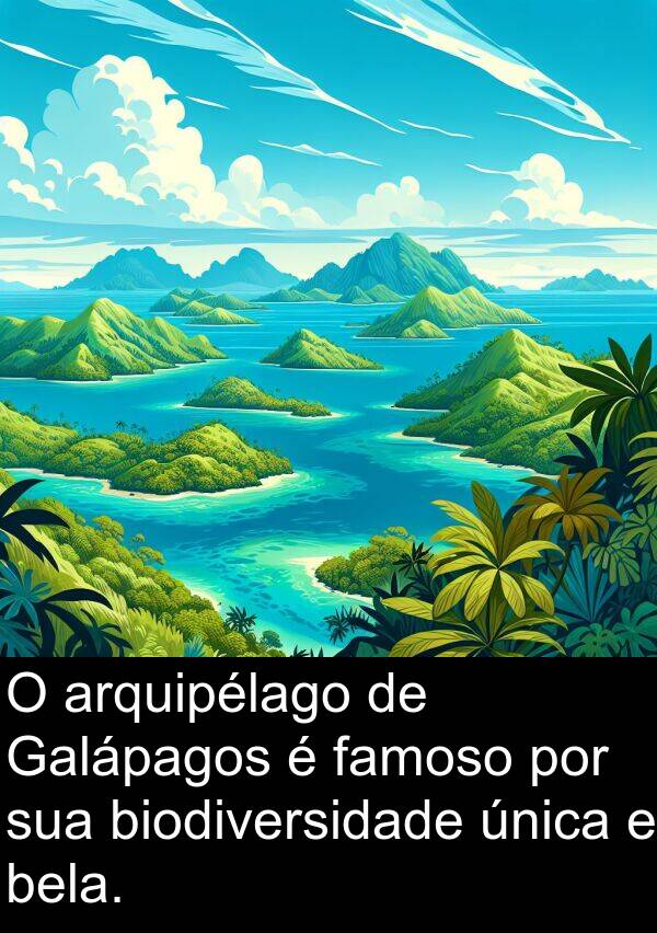 bela: O arquipélago de Galápagos é famoso por sua biodiversidade única e bela.