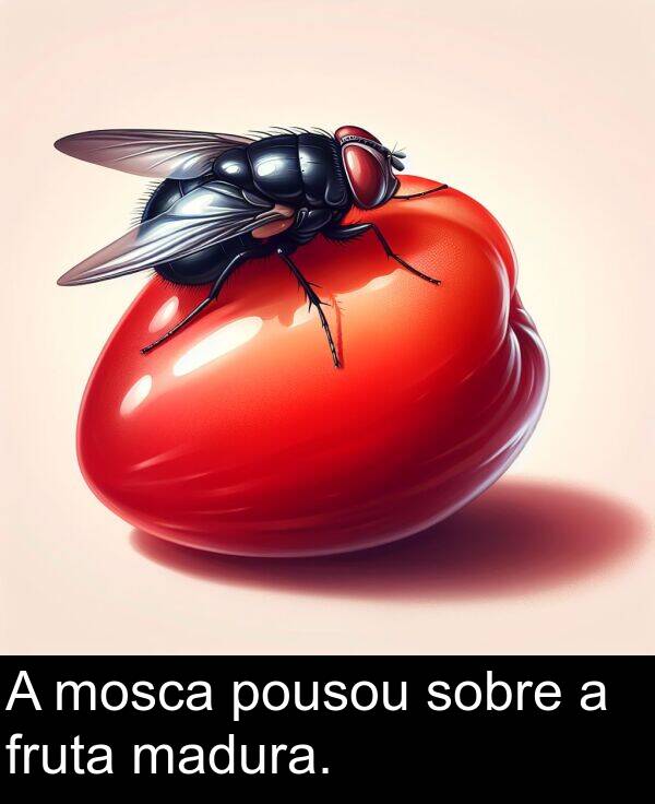 madura: A mosca pousou sobre a fruta madura.