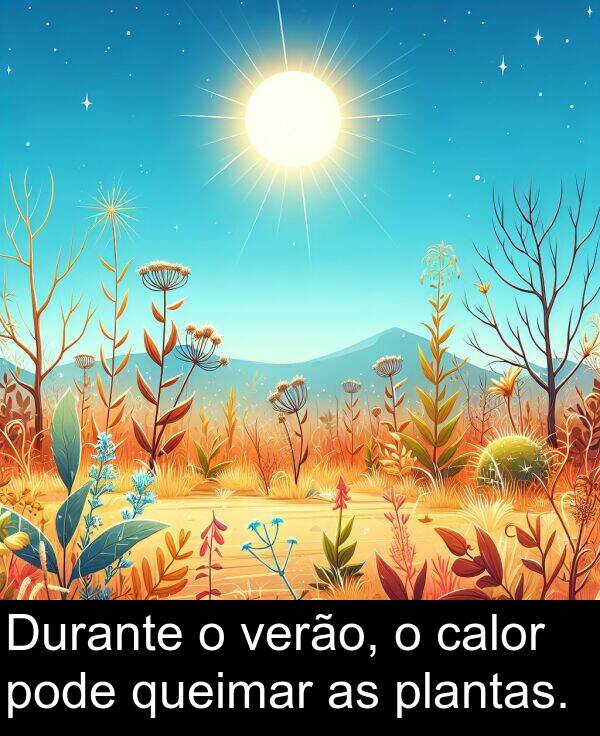 queimar: Durante o verão, o calor pode queimar as plantas.