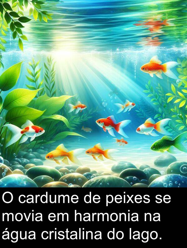 harmonia: O cardume de peixes se movia em harmonia na água cristalina do lago.