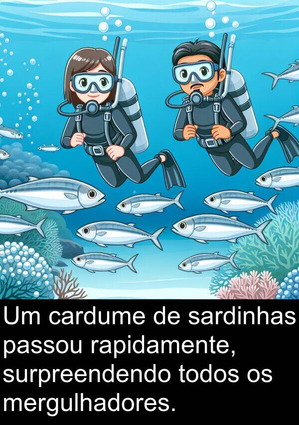 passou: Um cardume de sardinhas passou rapidamente, surpreendendo todos os mergulhadores.