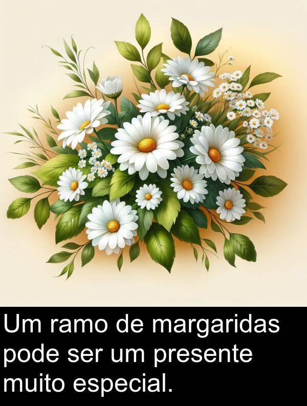 margaridas: Um ramo de margaridas pode ser um presente muito especial.