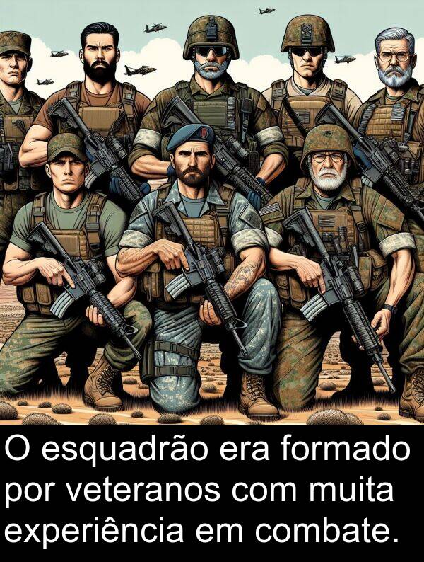 veteranos: O esquadrão era formado por veteranos com muita experiência em combate.