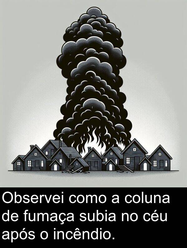 incêndio: Observei como a coluna de fumaça subia no céu após o incêndio.