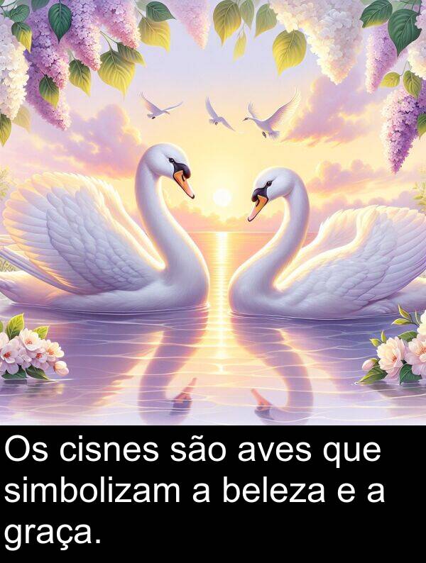 são: Os cisnes são aves que simbolizam a beleza e a graça.