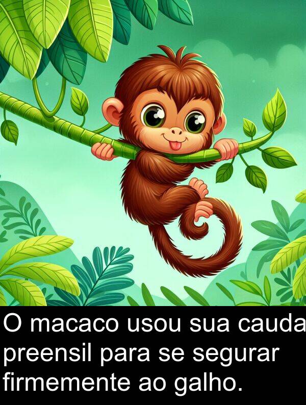 galho: O macaco usou sua cauda preensil para se segurar firmemente ao galho.