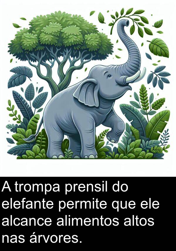 nas: A trompa prensil do elefante permite que ele alcance alimentos altos nas árvores.