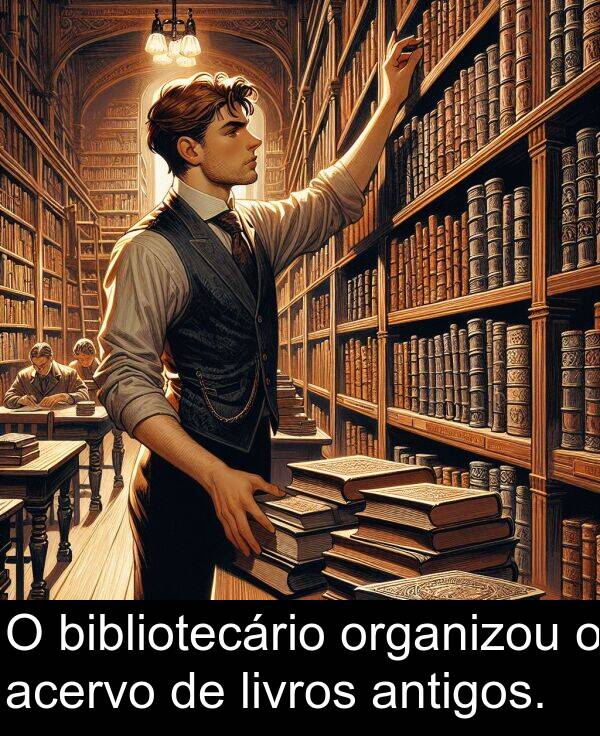 bibliotecário: O bibliotecário organizou o acervo de livros antigos.