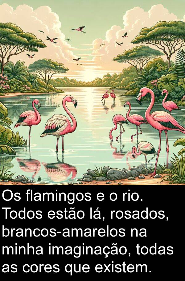 imaginação: Os flamingos e o rio. Todos estão lá, rosados, brancos-amarelos na minha imaginação, todas as cores que existem.