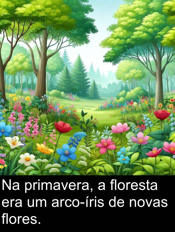 era: Na primavera, a floresta era um arco-íris de novas flores.