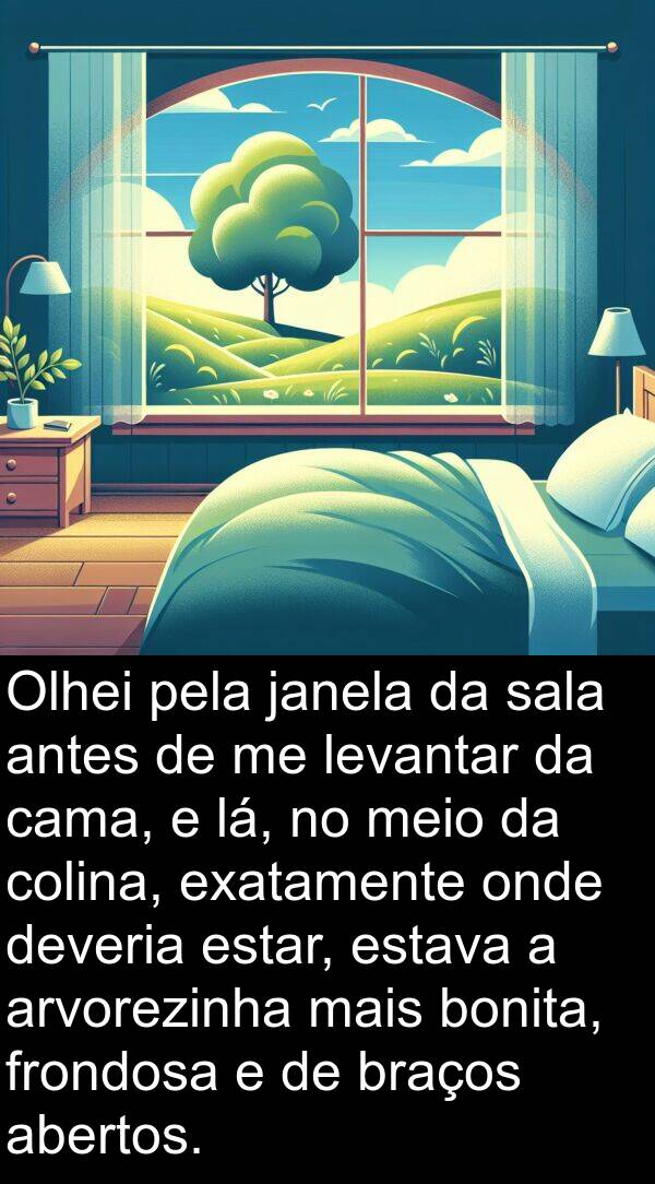 abertos: Olhei pela janela da sala antes de me levantar da cama, e lá, no meio da colina, exatamente onde deveria estar, estava a arvorezinha mais bonita, frondosa e de braços abertos.