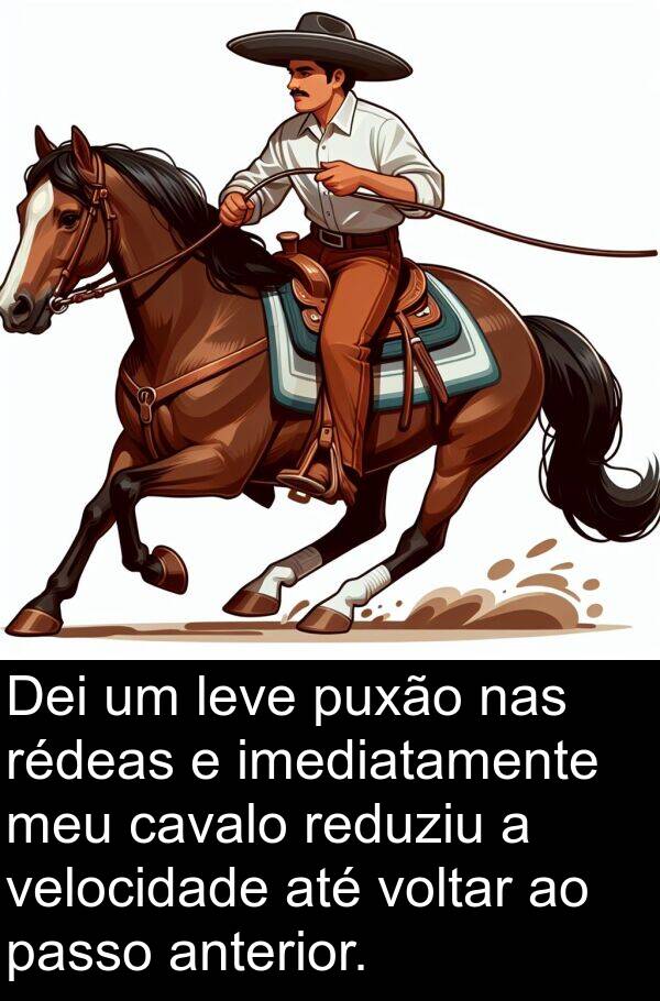 velocidade: Dei um leve puxão nas rédeas e imediatamente meu cavalo reduziu a velocidade até voltar ao passo anterior.