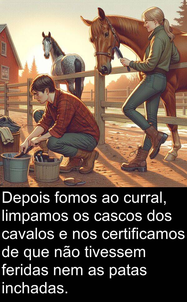 patas: Depois fomos ao curral, limpamos os cascos dos cavalos e nos certificamos de que não tivessem feridas nem as patas inchadas.