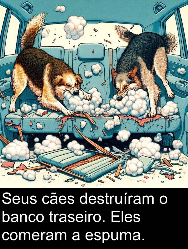 banco: Seus cães destruíram o banco traseiro. Eles comeram a espuma.