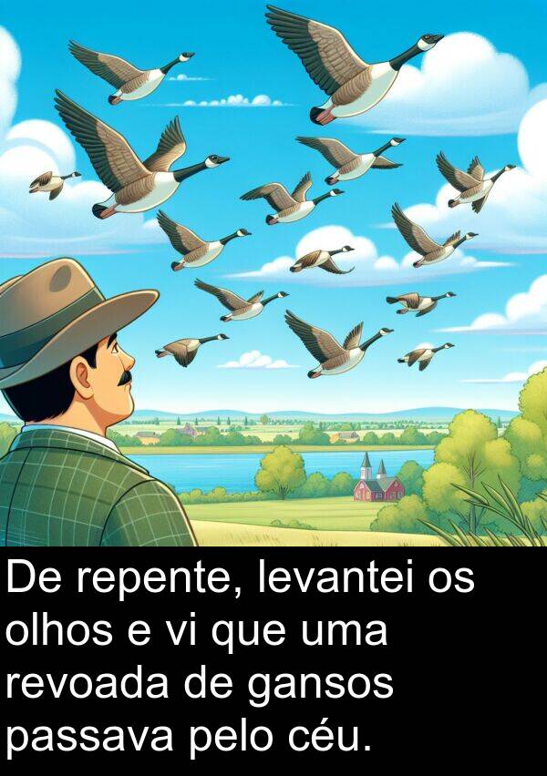 levantei: De repente, levantei os olhos e vi que uma revoada de gansos passava pelo céu.