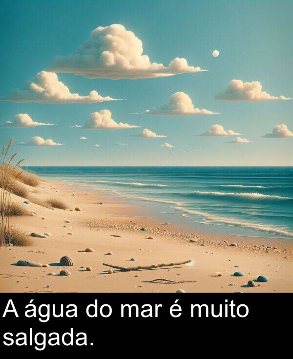 mar: A água do mar é muito salgada.